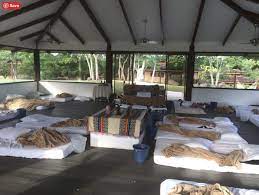 Rythmia After Ceremony Ayahuasca Ceremony Ayahuasca Healing Retreats