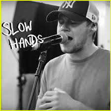 Later the same month, he debuted a song titled on my own at dublin's olympia theatre. Niall Horan Takes Fans Bts In Slow Hands Lyric Video Watch Now Music Niall Horan Just Jared Jr