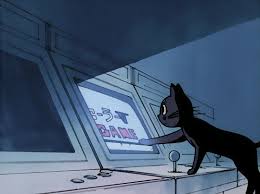 4.5 out of 5 stars. Sailor Moon Cat Gif And Gif Image 6446535 On Favim Com