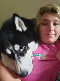 REUNITED WITH HIS OWNER ❤️ FOUND DOG at 440am beginning