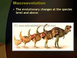 In descent with modification, all present day organisms are related through descent from unknown ancestors in the past. The Descent With Modification