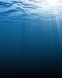 Données marégraphiques sur les côtes de france métropolitaine. Niveau De La Mer Wikipedia