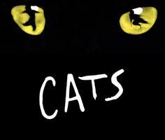 Disfruta de ver la pelicula cats online gratis en castellano. 43 Cats 2019 Ideas Cat Movie Free Movies Online Cats