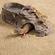 Terrariums Ideas Hide All Living Things 3 In 1 Castle Reptile Crib Leopard Gecko Habitat Leopard Gecko Gecko Habitat