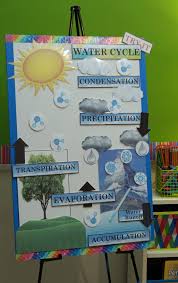Active Anchor Chart Water Cycle