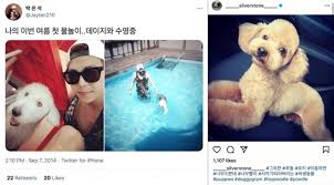 이때다 싶어 공격…박은석, 강아지 상습 파양… 더팩트. ì„œìš¸ì‹ ë¬¸ ì „ë¬¸ ê°•ì•„ì§€ ìƒìŠµíŒŒì–' ì˜í˜¹ ë°•ì€ì„ ê³µì‹ í•´ëª… ì‚¬ì‹¤ ì™œê³¡ ì¢…í•©