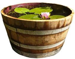 Here's to how to create a diy container water garden. Barrel Water Garden Tub