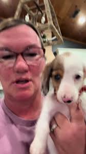 Kevin's Wisdom: Insights That Matter