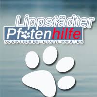 Lippstädter Pfotenhilfe e.V