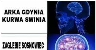 W czwartek wolontariuszy kieleckiej caritas będzie można spotkać w galerii korona, a w piątek na ulicy sienkiewicza. Arka Gdynia Kurwa Swinia Memy Gify I Smieszne Obrazki Facebook Tapety Demotywatory Zdjecia
