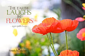 Simple Reminders For Daily Inspiration Simple Reminders Laughter Quotes Flowers