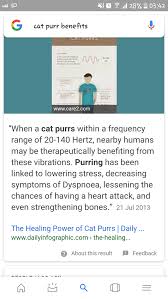 The power of a cat's purr can be pure magic. Do Cat Purrs Have Health Benefits To Humans Quora
