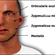 PDF) Finding the truth: interview and interrogation training simulations