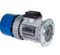 Electric brake motors - M.G.M. Motori Elettrici S.p.a.