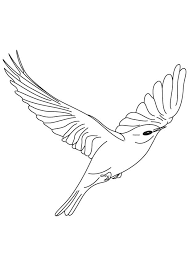 He also likes to boast about his techniques, much to the annoyance of others. Blue Bird Coloring Pages Coloring Home