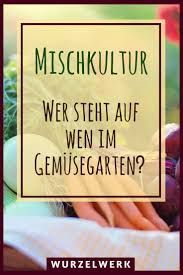 28 Gemusearten Und Ihre Wirksamsten Mischkultur Partner Gartenfreunde Pinterest Vegetable Garden Garden Und Herb Garden