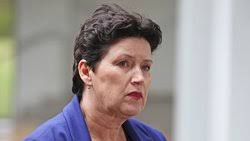 Labor MP Kate Doust speaks in support of Liberal MP Nick Goiran, breaks  party ranks