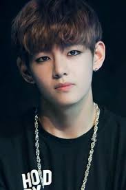 Do you know that my real real name is Kim Tae-pyung? And my stage name Hyun  Bin means "shining brightly" in Korean, reflecting my rise to stardom.  Before acting, I started as