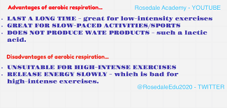 Aerobic Respiration 2 3 Igcse Biology Aerobics Low Intensity Workout