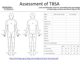 assessment and types of burn pbl 02 skin deep peter byrnes