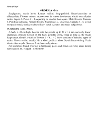 Image result for Wiesneria