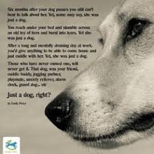  15 Dog Bereavement And Sympathy Ideas Dog Quotes Dogs I Love Dogs