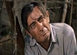 co0025487 (Sorted by Popularity Ascending)