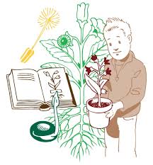 15 deckblatt deutsch klasse 7 drucken annasslant inside. Deckblatt Fur Biologie Klasse 5