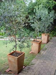 Epingle Sur Ma Maison De Campagne