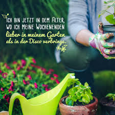 Die letzte lidl wildkamera hatte eine einfache dunkelgrüne färbung. Facebook