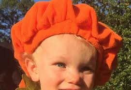 HVNA Newsletter Fall 2017