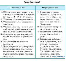 Положительная роль бактерий