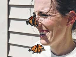 Butterflies are free: Teachers get first-wing knowledge about importance of  insects