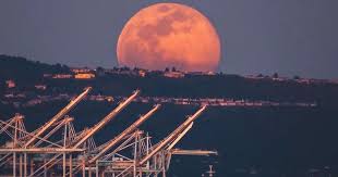 La super lune est un phénomène qui se produit lorsque la lune est sur le point de son orbite le plus proche de la terre. En Images La Super Lune Rose D Avril A Ebloui Le Monde Entier