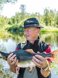Maybe you would like to learn more about one of these? Norge Vil Utrydde Pukkellaksen I Nabolandet Spises Fisken Med Glede Nrk Troms Og Finnmark Lokale Nyheter Tv Og Radio