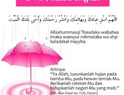 Pin Di Beauty Girl