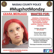NCPDMugShotMonday: Pictured subjects are wanted Felony and Misdemeanor  criminal offenders who reside in, or have committed crimes in Nassau  County. These individuals have been arrested for the listed crime(s) and  then failed