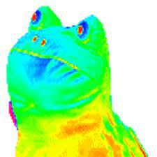 Frog Gif Images Frog Gif Pictures Graphics Page Ideias Para Videos Do Youtube Criancas Engracadas Ilustracao Preto E Branco