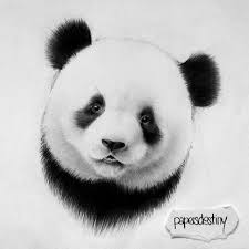 Pin By Erikson Mejias On Tatu Panda Tattoo Panda Art Panda Sketch