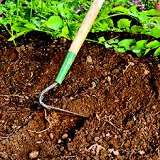 soil ile ilgili görsel sonucu