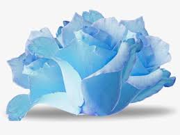 Pintado A Mano De Flores De Papel Acuarela Azul Gratis Png Y Clipart Papel De Acuarela Flor De Paper Acuarela