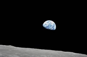 Image result for Moon White 1980 ABB Comeng