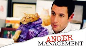 Prior to his career as a therapist. Is Anger Management 2003 On Netflix Usa