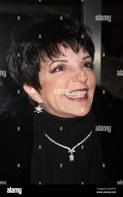 Gabler hi-res stock photography and images