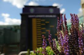 Wimbledon 2018 starts on monday, 02 wimbledon 2018 schedule: Schedule The Championships Wimbledon 2021 Official Site By Ibm