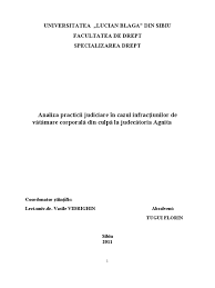 Eroarea asupra urmărilor produse prin accident. Lucrare De Diploma Buna