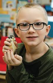 Like a Warrior Newsletter June 2023 by PaperWorx