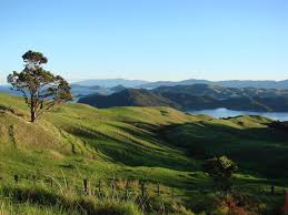 River passing through a forest, blue pools, mt aspiring national park, otago region, south island, new zealand redwoods and tree ferns, the redwoods, rotorua, bay of plenty, new zealand mount cook and mount tasman reflected in lake matheson near fox glacier, new zealand Free New Zealand Landscape Stock Photo Freeimages Com