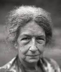 Mergoat Mag: Hillbilly Ecologies After the Apocalypse by mergoat