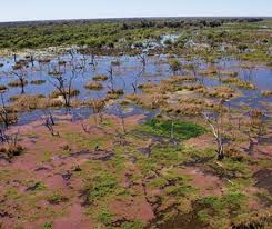 The water is often groundwater, seeping up from an aquifer or spring. Nsw Wetland Inventory Nsw Environment Energy And Science
